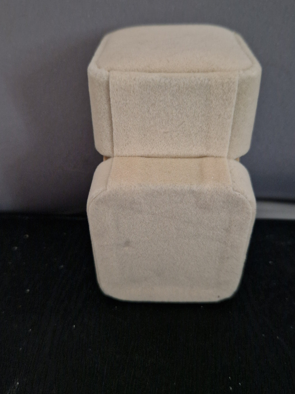 A Empty velvet Ring Box.