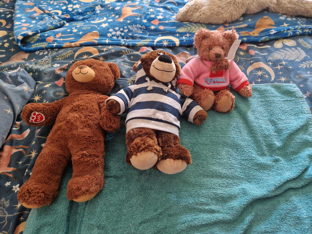 A Trio of vintage Teddy bears. In great condition.